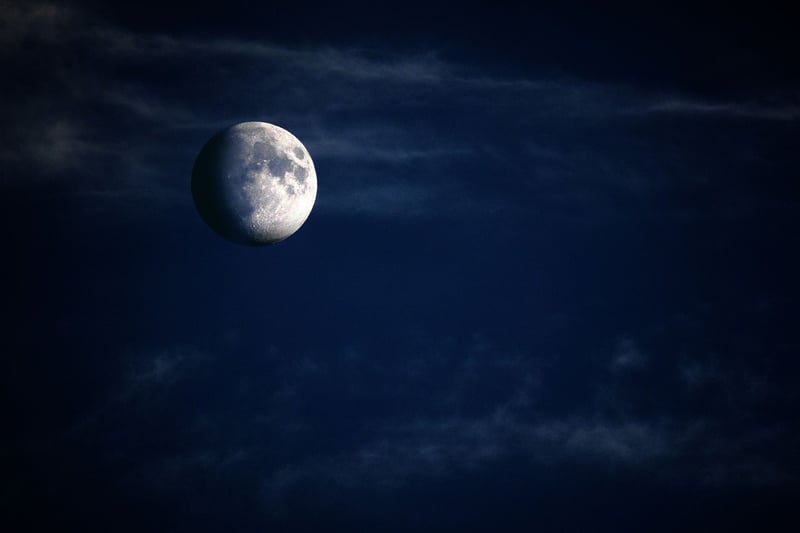 Moonlit Suit